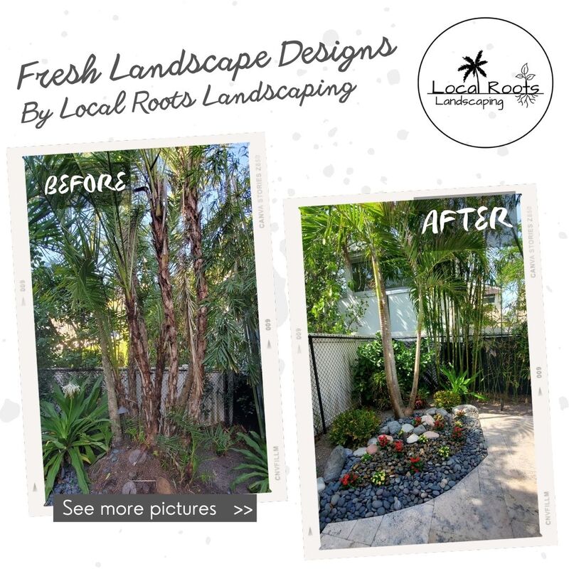 Landscaper Design Tampa Florida