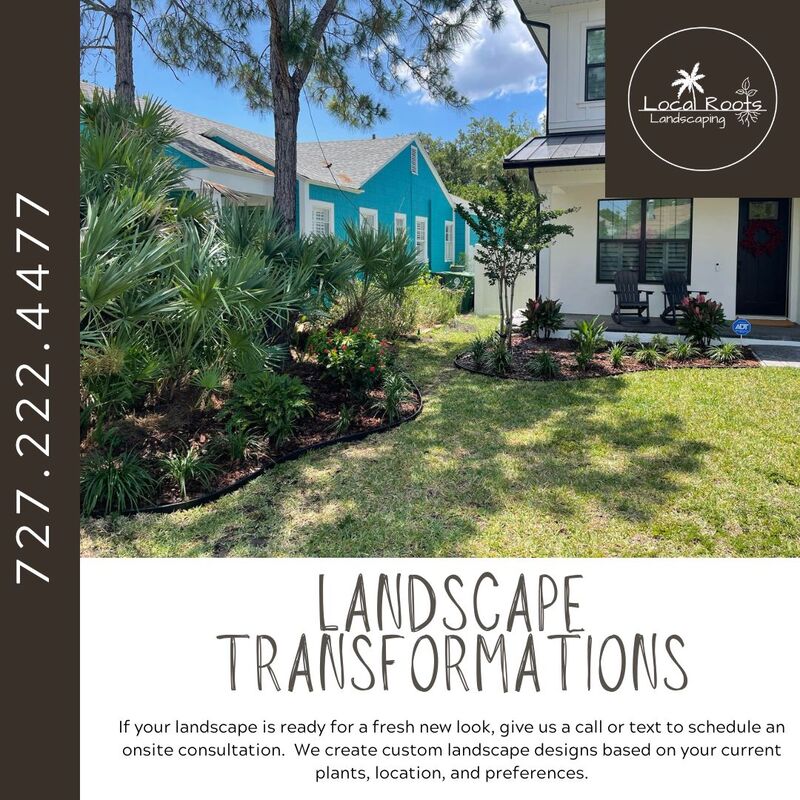 Landscaper Tampa Landscape Design
